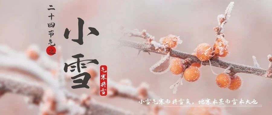 今日，小雪！